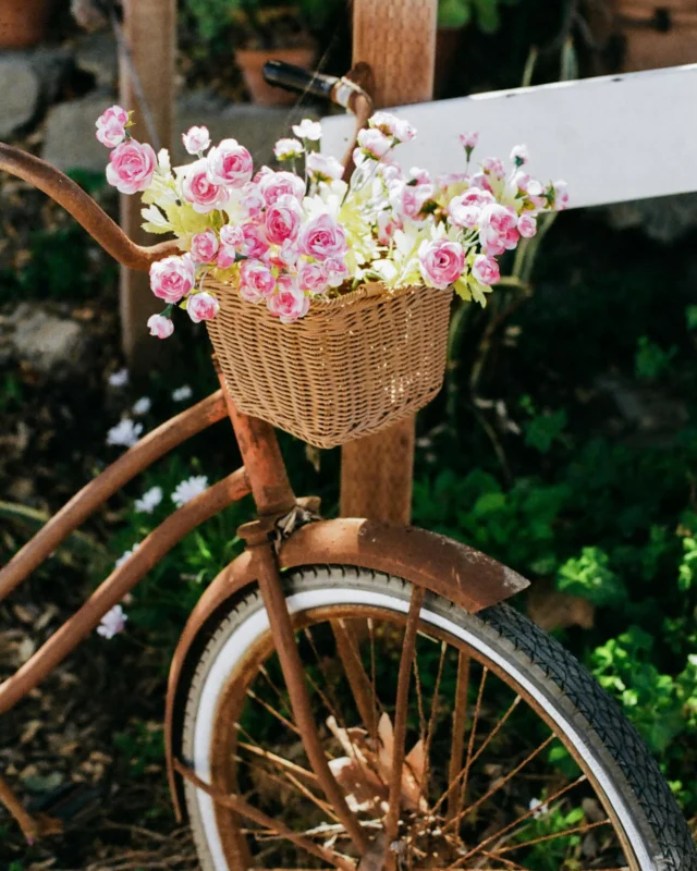 We can’t wait to celebrate Mother’s Day with you this weekend at The Beachcomber 🌸 

#TheBeachcomber #CrystalCove #MothersDay #PCH #OrangeCountyBrunch