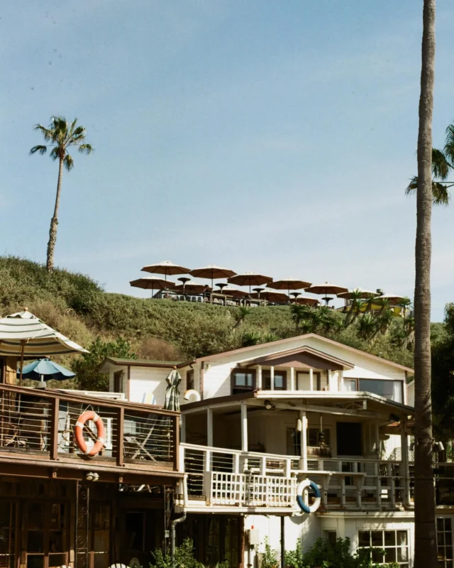 Weekend plans 🌞 

#TheBeachcomber #NewportBeach #PCH #BeachfrontDining #OceanfrontDining